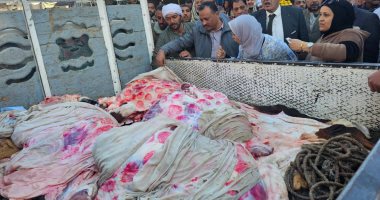 بيطرى الأقصر تضبط لحوم مذبوحة خارج المجازر الحكومية عليها أختام مزورة.. صور