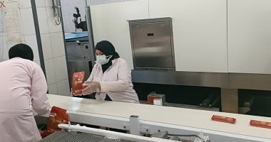 التنمية.. معادلة نجاح الصعيد الجديد بالمنطقة الصناعية غرب طهطا.. صور