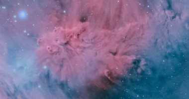 التقاط صور مميزة لبقعة من الأجرام السماوية على شكل عنقود شجرة.. صور