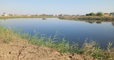 فرق البحث تواصل عملية الفحص للتأكد من وجود تمساح جديد بمصرف عمريط بالشرقية