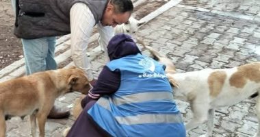 تطعيم 100 كلب ضد مرض السعار بمدينة العبور ضمن مبادرة مصر خالية من السعار 2030  