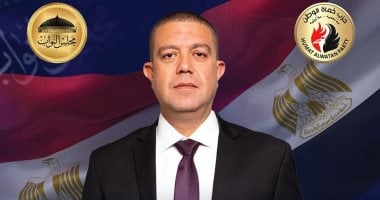 سمير الخولى: انتخابات النواب تمت بشفافية تامة والمواطنون اختاروا ممثلهم بكل حرية