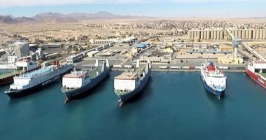 بزمن عبور قياسي.. انطلاق أول خط ملاحي يربط بين مينائي سفاجا ونيوم السعودى