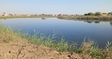 فريق شئون البيئة بالشرقية يواصل الفحص للتأكد من وجود تمساح بمصرف عمريط