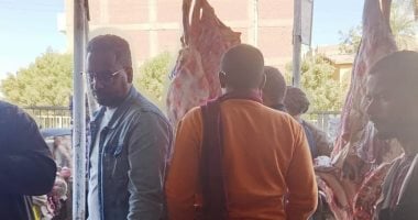 ضبط لحوم فاسدة خلال حملة بيطرية فىى أسوان
