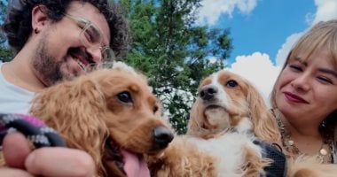 من الأحق بالكلب.. المكسيك تحسم حضانة الحيوانات الأليفة حال طلاق أصحابها