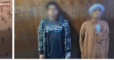 الداخلية تكشف حقيقة ظهور خيول بمدرسة بالجيزة