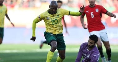 محمد الشناوى