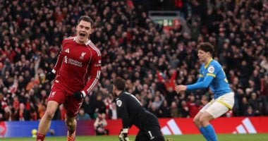 في الكورة : ليفربول ضد وولفرهامبتون.. الريدز يتقدم بثنائية فى الشوط الأول.. فيديو