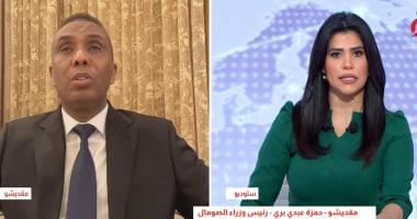 رئيس وزراء الصومال: نستخدم القنوات الدبلوماسية للدفاع عن أرضنا ووحدتنا