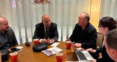 وزير الكهرباء يبحث مع شركات "إنكورا وجوتيانج وهونغجى" توطين صناعة المهمات