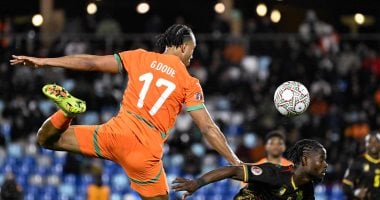 منتخب الكاميرون يحتفل بهدف في مباراة سابقة