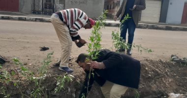 محافظ كفر الشيخ: استمرار زراعة الأشجار المثمرة ضمن مبادرة 100 مليون شجرة