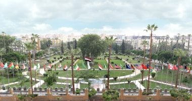 برنامج اللغة الإيطالية بجامعة المنصورة يساهم فى إيجاد فرص متميزة بسوق العمل