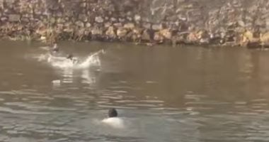 جانب من الحادث