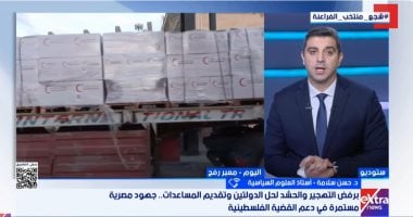 أستاذ علوم سياسية: الدور المصرى فى دعم فلسطين تاريخى ولا يقبل المزايدة