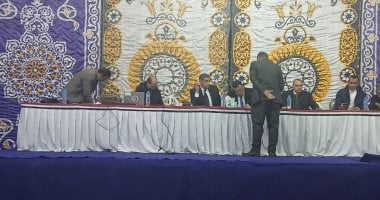 الحصر العددى لأصوات الناخبين بالدائرة الأولى فى محافظة قنا.. فيديو