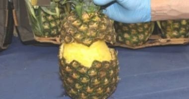 تهريب الكوكايين فى الأناناس