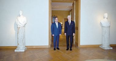 نجاحات كبيرة حققتها الدبلوماسية المصرية