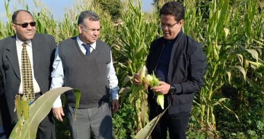 رئيس جامعة بنها: نسعى لتعزيز وزيادة العائد الاقتصادي للوحدات الإنتاجية