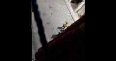 الداخلية تكشف حقيقة فيديو متداول حول مشاجرة أسرية بالإسكندرية