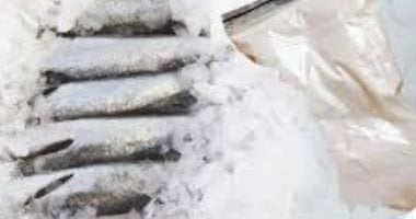 سمك بالكوكايين.. المكسيك تضبط شحنة مخدرات داخل السمك المجمد