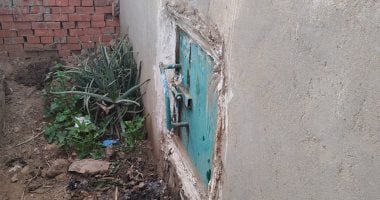 تفاصيل استخراج 25 كيلو عسل من داخل قبر فى المنوفية.. صور