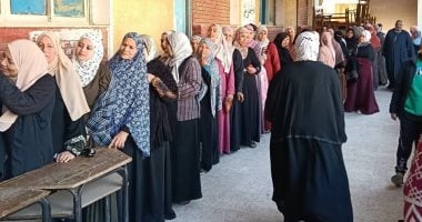 انتخابات - أرشيفية