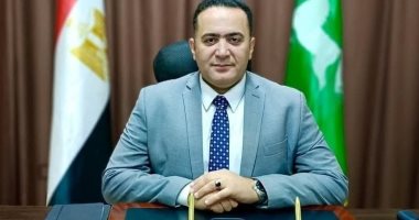 استجابة فورية لإصلاح أعطال الكهرباء بمدينة كفر صقر في الشرقية