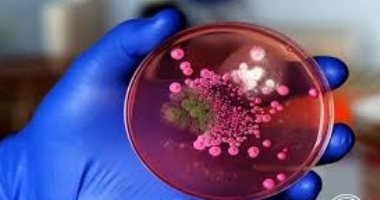 تفشى بكتيريا كانديدا أوريس المقاومة لجميع أنواع المضادات الحيوية في أمريكا