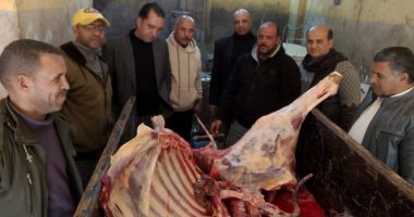 ضبط سلخانة غير مرخصة وضبط لحوم وأعضاء مواشى غير صالحة للاستهلاك بالمنوفية