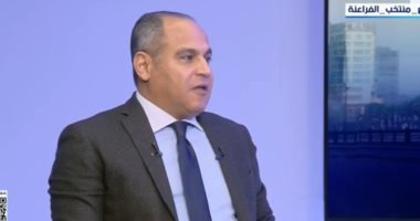 النائب وسام إسماعيل: التشريعات المصرية تضبط فوضى التريند وتحمي قيم المجتمع
