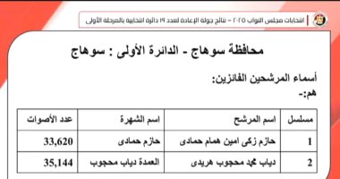 فوز حمادى ومحجوب بمقاعد النواب بالدائرة الأولى في سوهاج