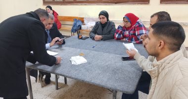 نتيجة الحصر العددى لأصوات الناخبين بالدائرة الرابعة المحمودية في البحيرة