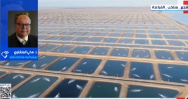 شعبة الأسماك: دخول عدد كبير من السماسرة بالسوق ساهم في زيادة الأسعار