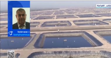 الزراعة: مصر تحقق 93% اكتفاءً ذاتيًا من الأسماك بفضل الاستزراع