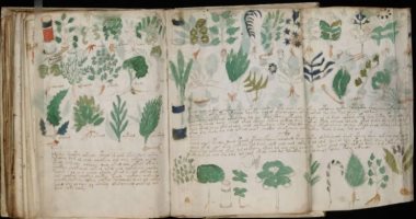 فك شفرة مخطوطة فوينيتش الغامضة من العصور الوسطى.. ما القصة؟