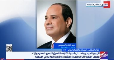 جمال الكشكى: القاهرة والرياض حائط صد لحماية الأمن القومى العربى