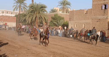 حين يتكلم الميدان.. الخيالة والمرماح عادة تراثية بمولد الشيخ وافى بقنا.. فيديو