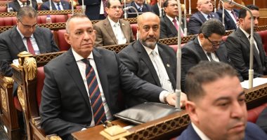 وكيل خارجية الشيوخ: لقاء السيسي ووزير خارجية السعودية يعكس وحدة الصف العربي