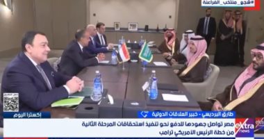 خبير: التنسيق المصري السعودي صمام أمان للأمن القومي العربي