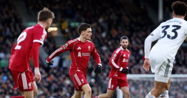 فولهام ضد ليفربول.. فيرتز يواصل أرقامه المميزة مع الريدز