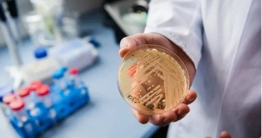 مقاومة للعلاج.. تحذيرات من انتشار عدوى فطرية خارقة فى الولايات المتحدة