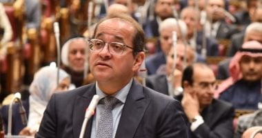 أحمد كجوك وزير المالية