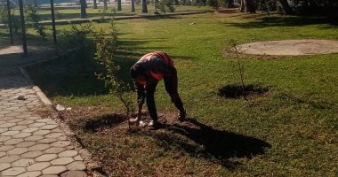 جهاز التطوير والتجميل بالإسماعيلية يواصل أعمال الصيانة بمداخل ومخارج المحافظة