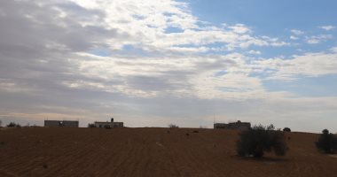 طقس شتوي في شمال سيناء‎ مع نشاط خفيف للرياح