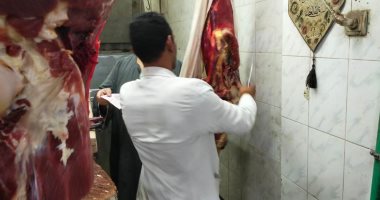 محافظ أسوان: حملات بيطرية تضبط 114 كجم لحوم فاسدة