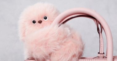 روبوت ميرومى ذكى ويقرأ مشاعر البشر ويتفاعل معها.. هينافس لابوبو