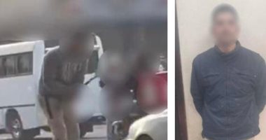 الداخلية تكشف ملابسات فيديو الاعتداء على كلب بأحد شوارع الجيزة وتضبط المتهم