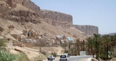 اليمن: حل المجلس الانتقالى الجنوبى وجميع هيئاته وأجهزته الرئيسية